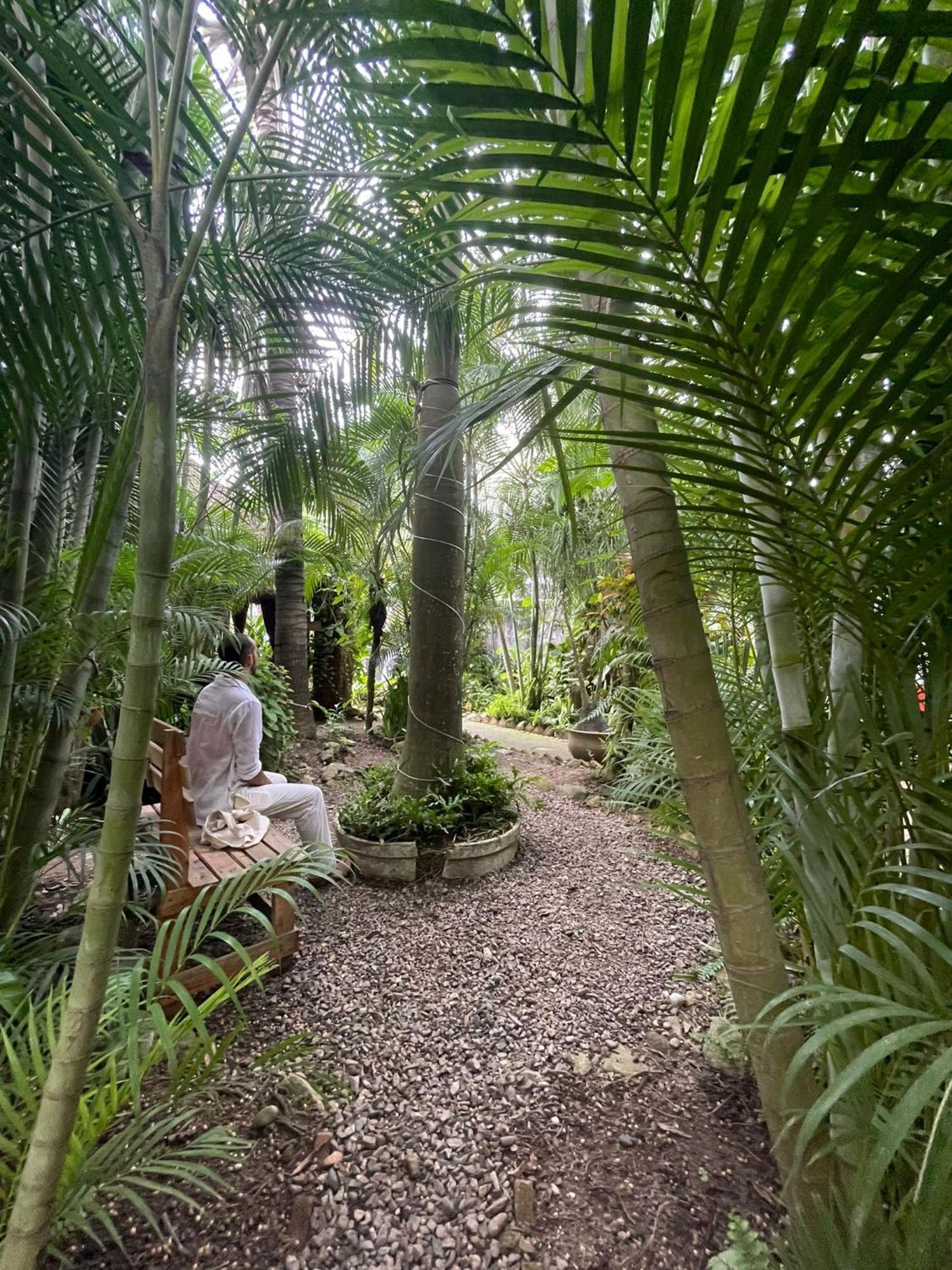 Akoma Sayulita Eksteriør bilde